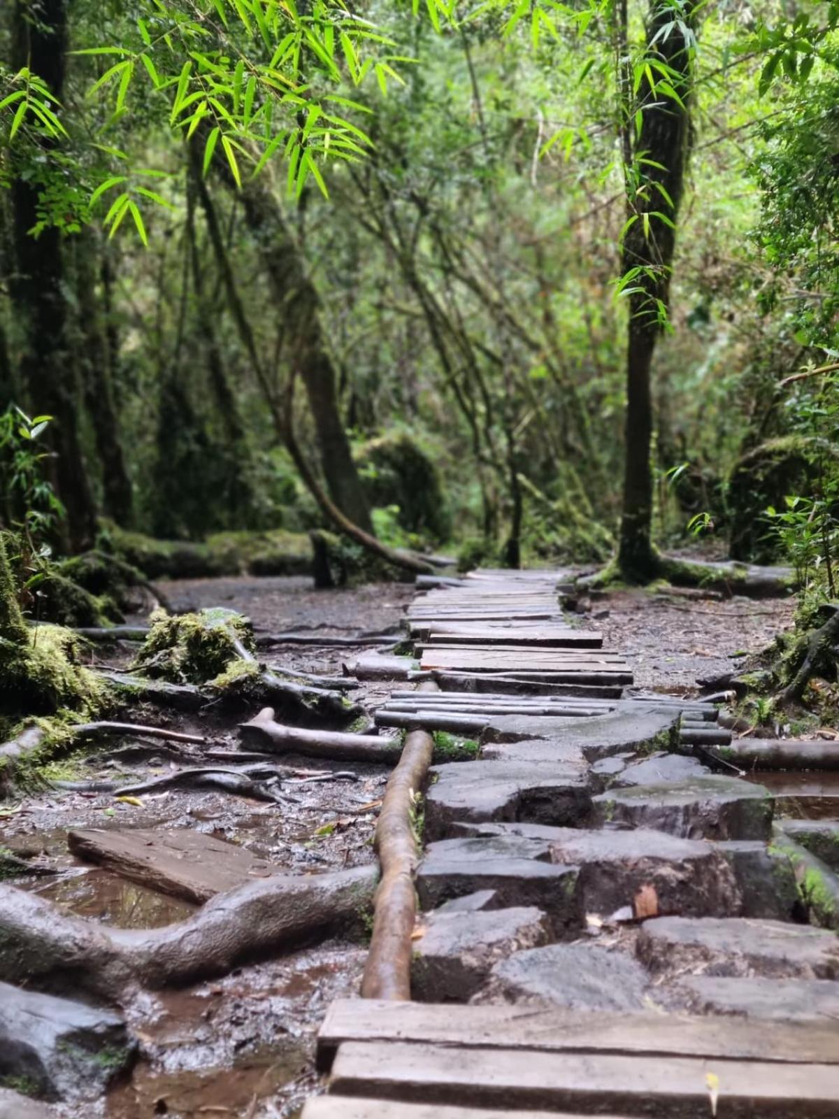 Cabana Ensenada, Puerto Varas - 1 Ambiente Dış mekan fotoğraf